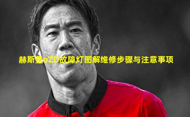 赫斯曼oZD故障灯图解维修步骤与注意事项