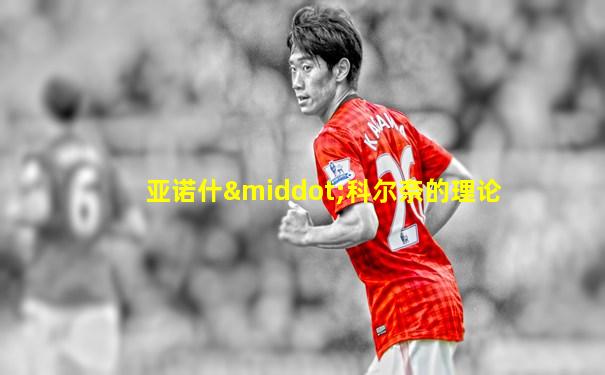 亚诺什·科尔奈的理论