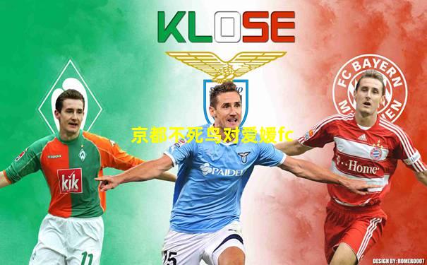 京都不死鸟对爱媛fc