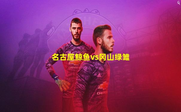 名古屋鲸鱼vs冈山绿雏