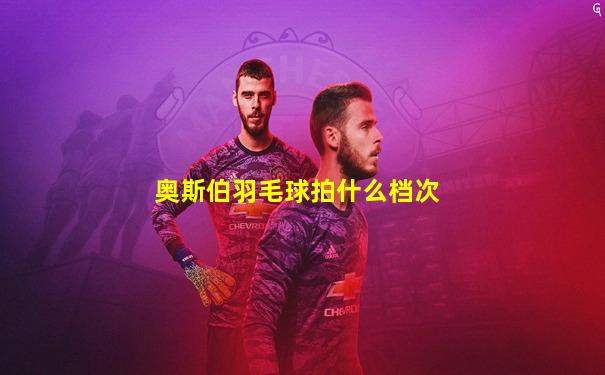 奥斯伯羽毛球拍什么档次