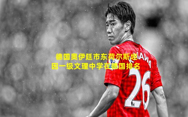 德国奥伊廷市东荷尔斯坦因一级文理中学在德国排名