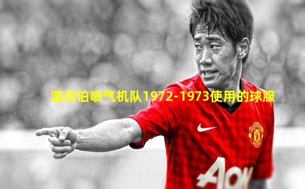 温尼伯喷气机队1972-1973使用的球服