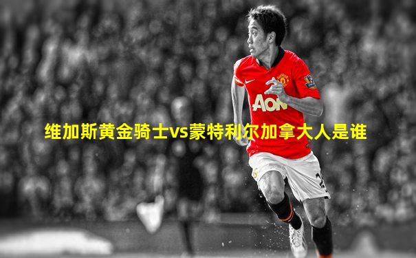 维加斯黄金骑士vs蒙特利尔加拿大人是谁