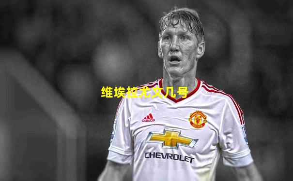 维埃拉尤文几号