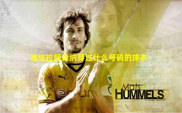 维埃拉阿森纳穿过什么号码的球衣