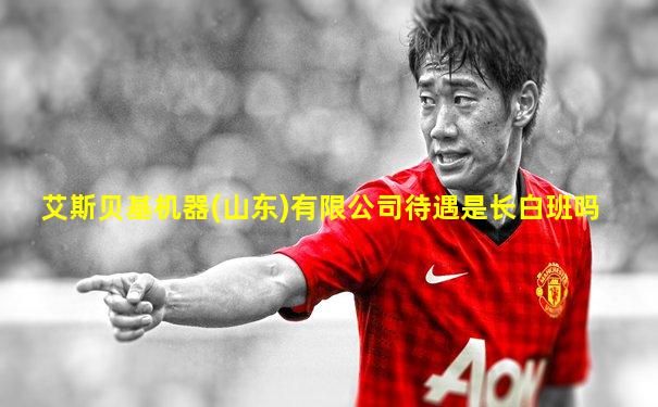 艾斯贝基机器(山东)有限公司待遇是长白班吗