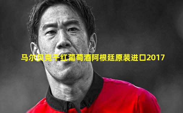 马尔贝克干红葡萄酒阿根廷原装进口2017