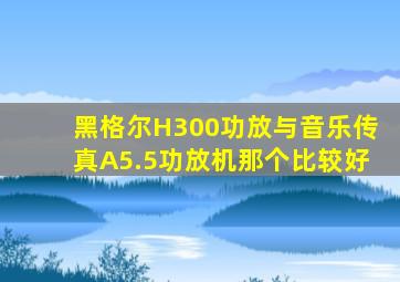 黑格尔H300功放与音乐传真A5.5功放机那个比较好