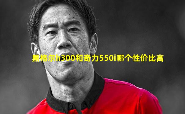 黑格尔h300和奇力550i哪个性价比高